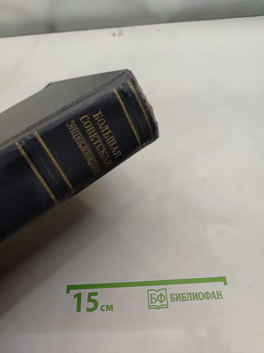 Большая Советская Энциклопедия. Том 15. Докеры – Железняков