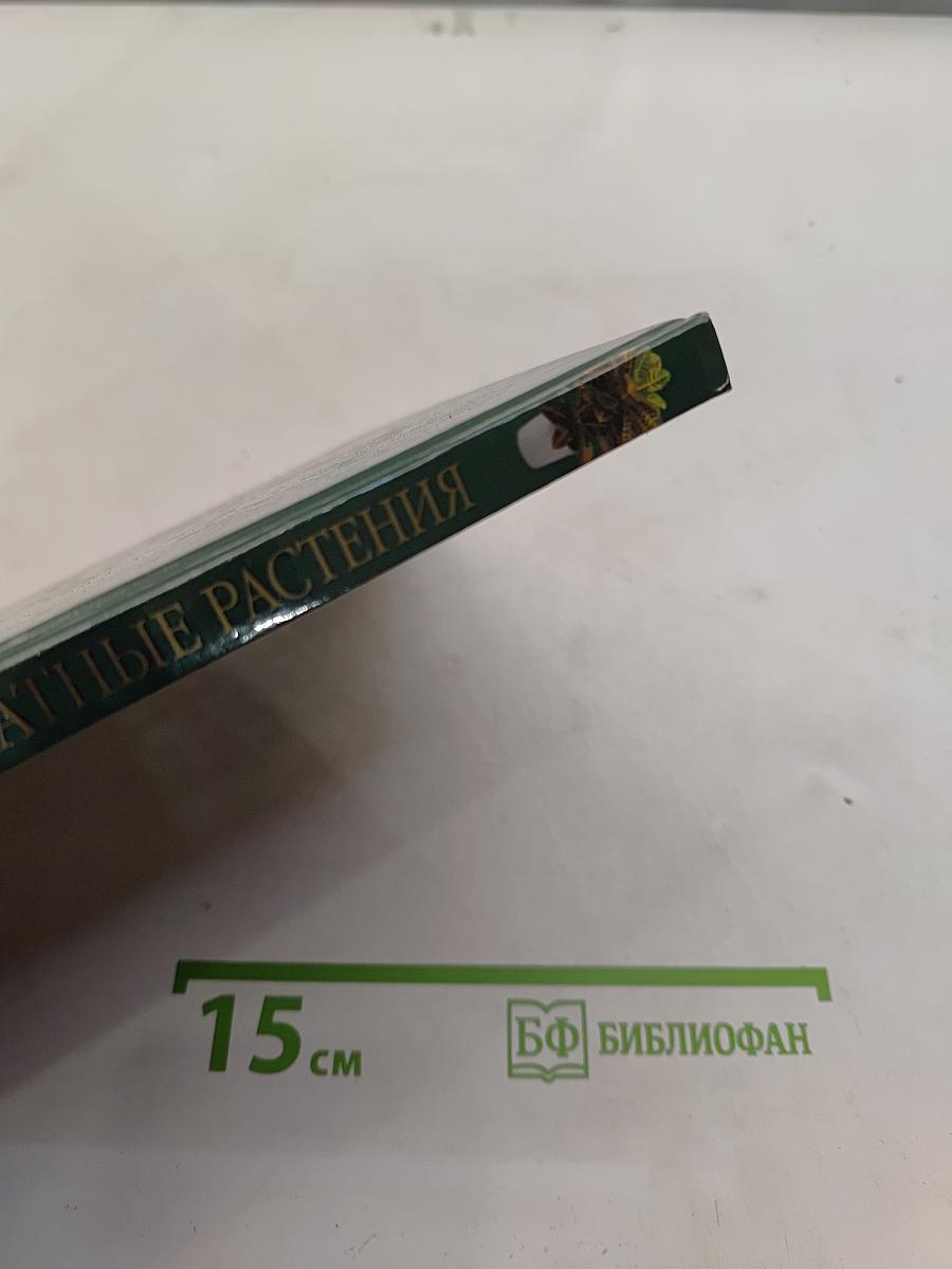 Неприхотливые комнатные растения. Практическое руководство