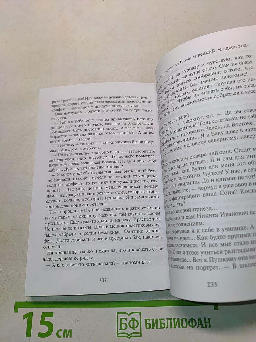 Лето в Михайловском. Святогорские повести и рассказы
