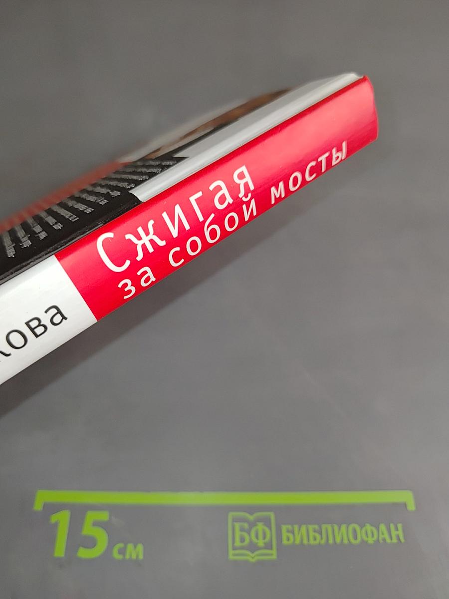Сжигая за собой мосты