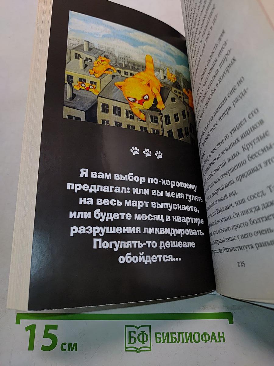 КОТнеппинг. Помеченная территория