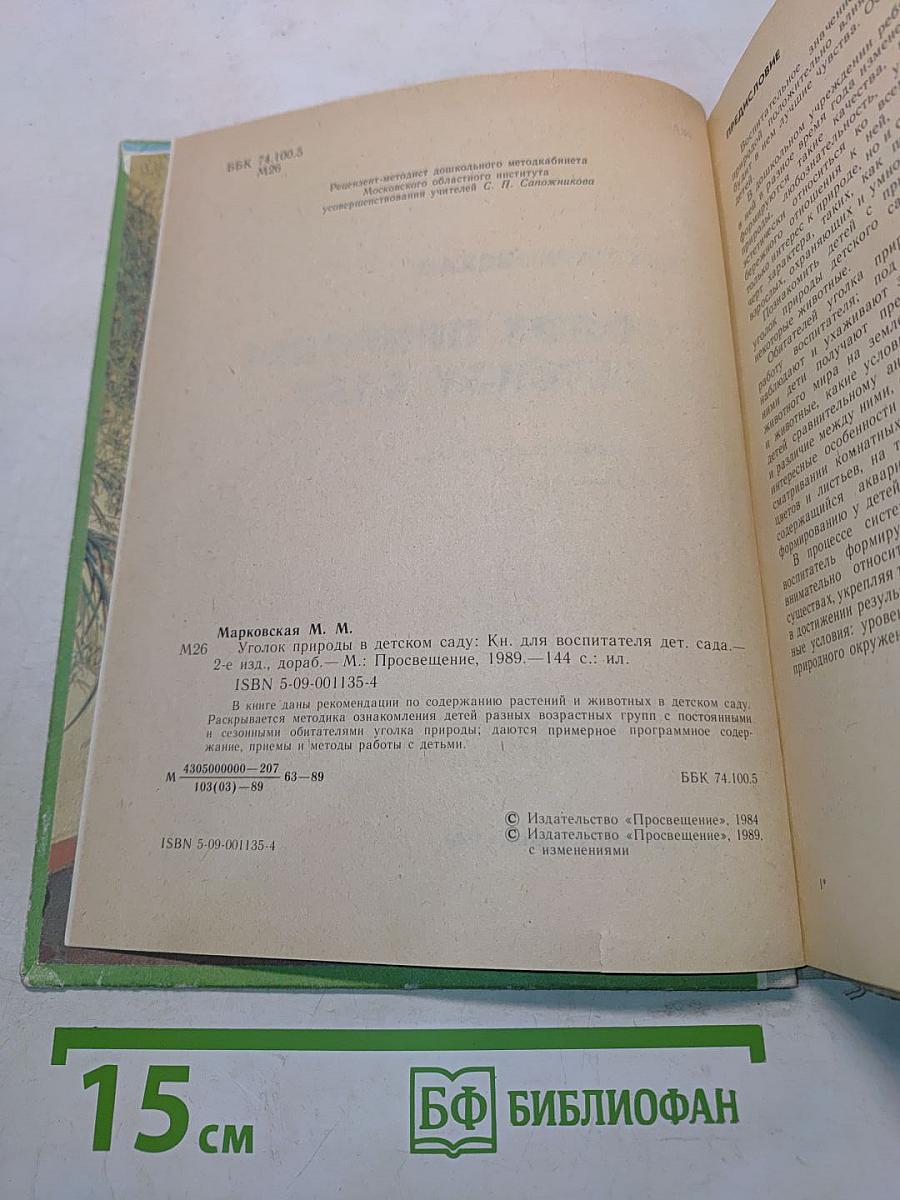 Уголок природы в детском саду