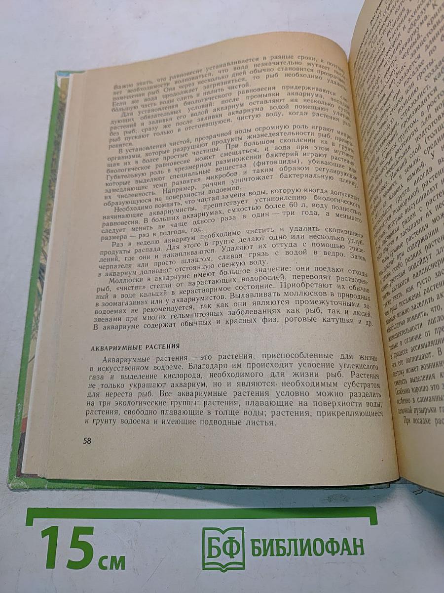 Уголок природы в детском саду