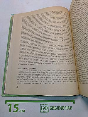Уголок природы в детском саду