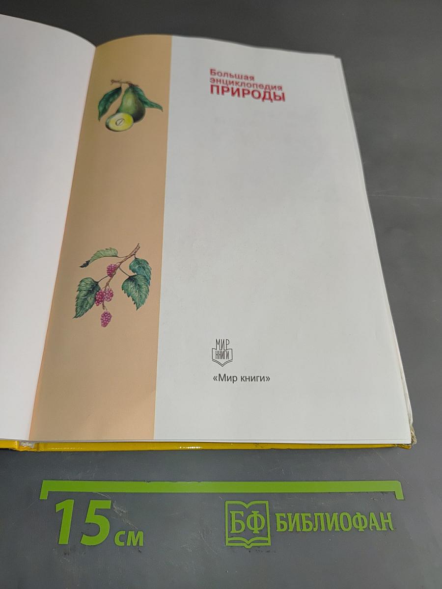 Большая энциклопедия природы. Жизнь растений. Том 7