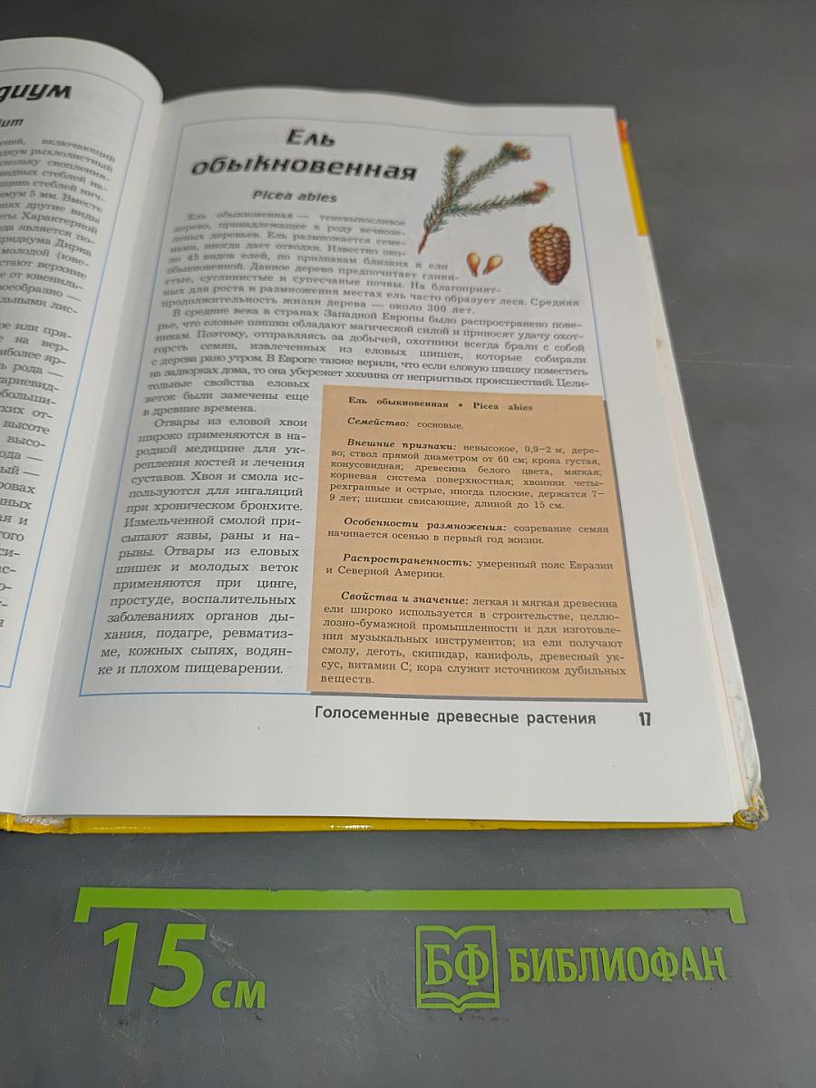 Большая энциклопедия природы. Жизнь растений. Том 7
