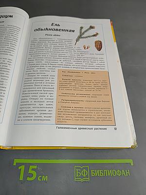 Большая энциклопедия природы. Жизнь растений. Том 7