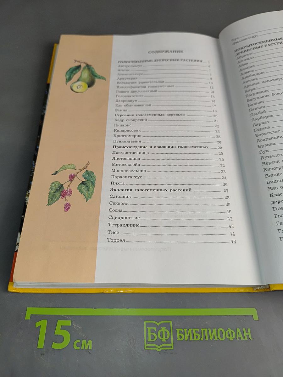 Большая энциклопедия природы. Жизнь растений. Том 7