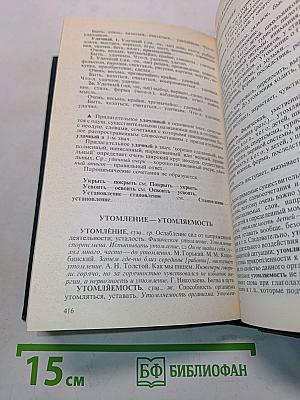 Словарь паронимов современного русского языка