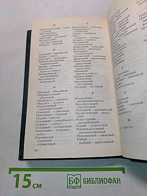 Словарь паронимов современного русского языка