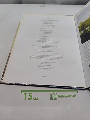 Иван Николаевич Крамской. Великие художники. Том 13