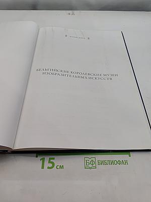 Бельгийские королевские музеи изобразительных искусств