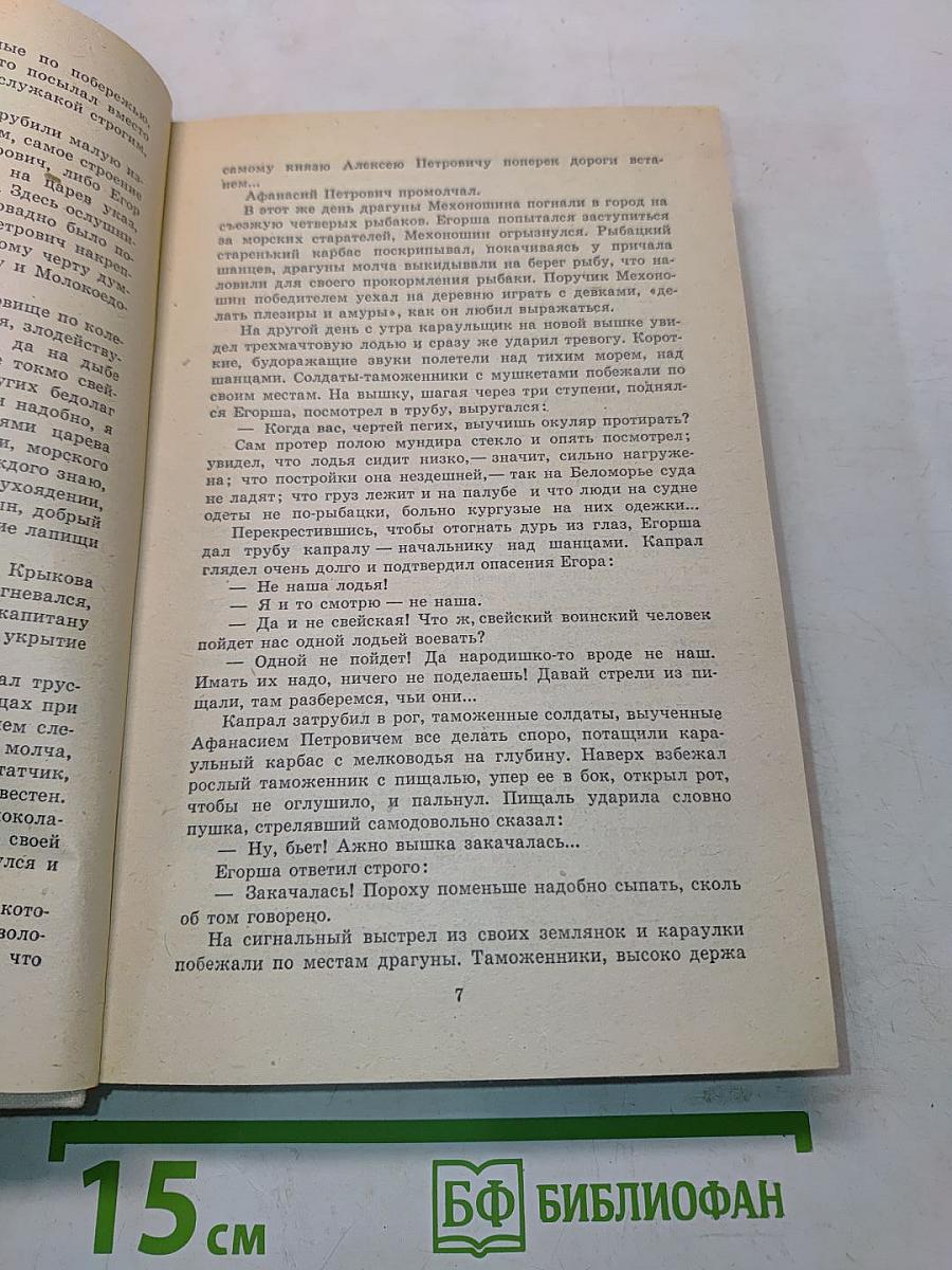 Россия молодая. Книга вторая