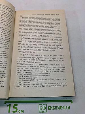 Россия молодая. Книга вторая