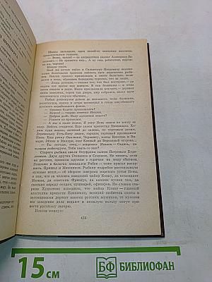 Россия молодая. Книга вторая