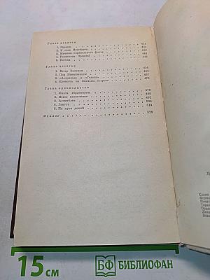 Россия молодая. Книга вторая