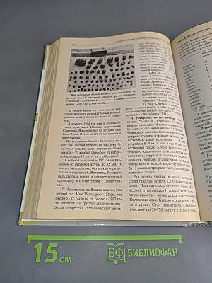 Большая энциклопедия очищения организма
