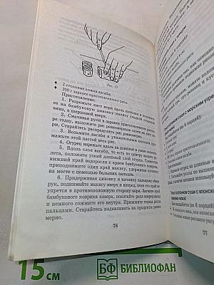 Суши и роллы