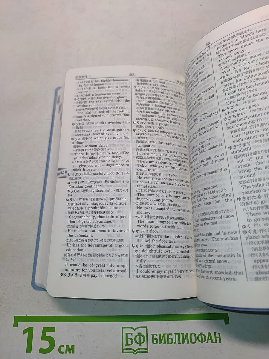 APOLLO Japanese-English Dictionary