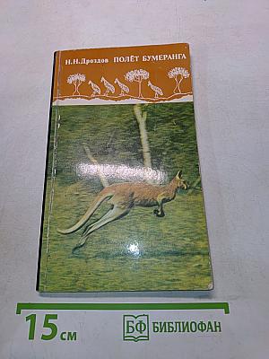 Полёт бумеранга