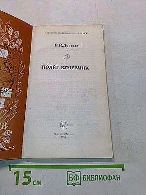 Полёт бумеранга