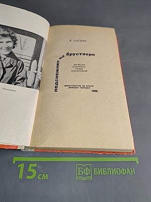 Подснежник на бруствере
