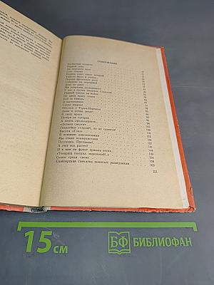 Подснежник на бруствере