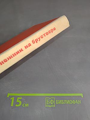 Подснежник на бруствере