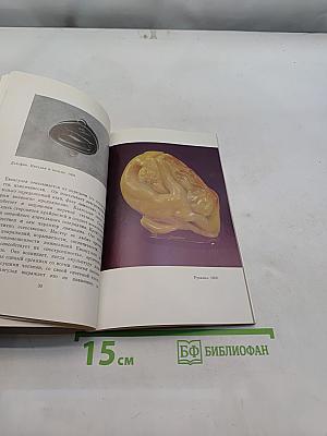 С. П. Евангулов