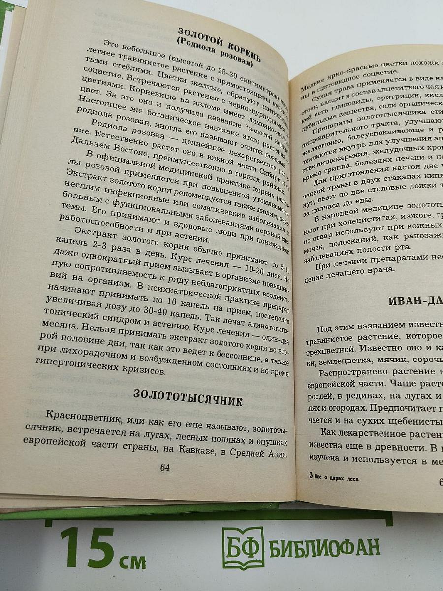 Всё О Дарах Леса