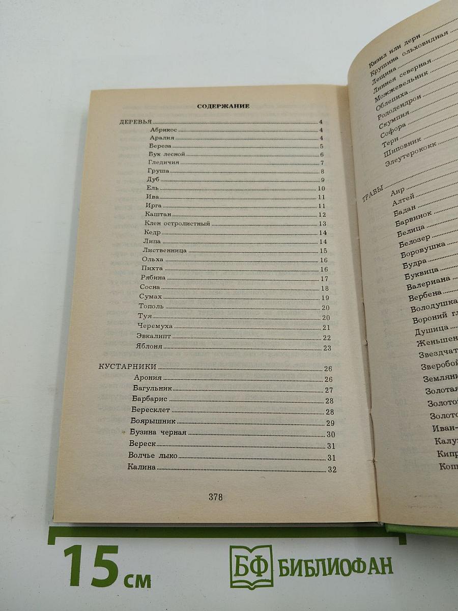 Всё О Дарах Леса