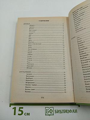 Всё О Дарах Леса