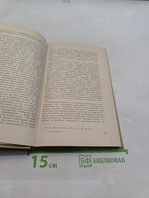 Русская литература XIX века и революционная Россия