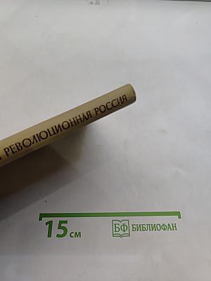 Русская литература XIX века и революционная Россия