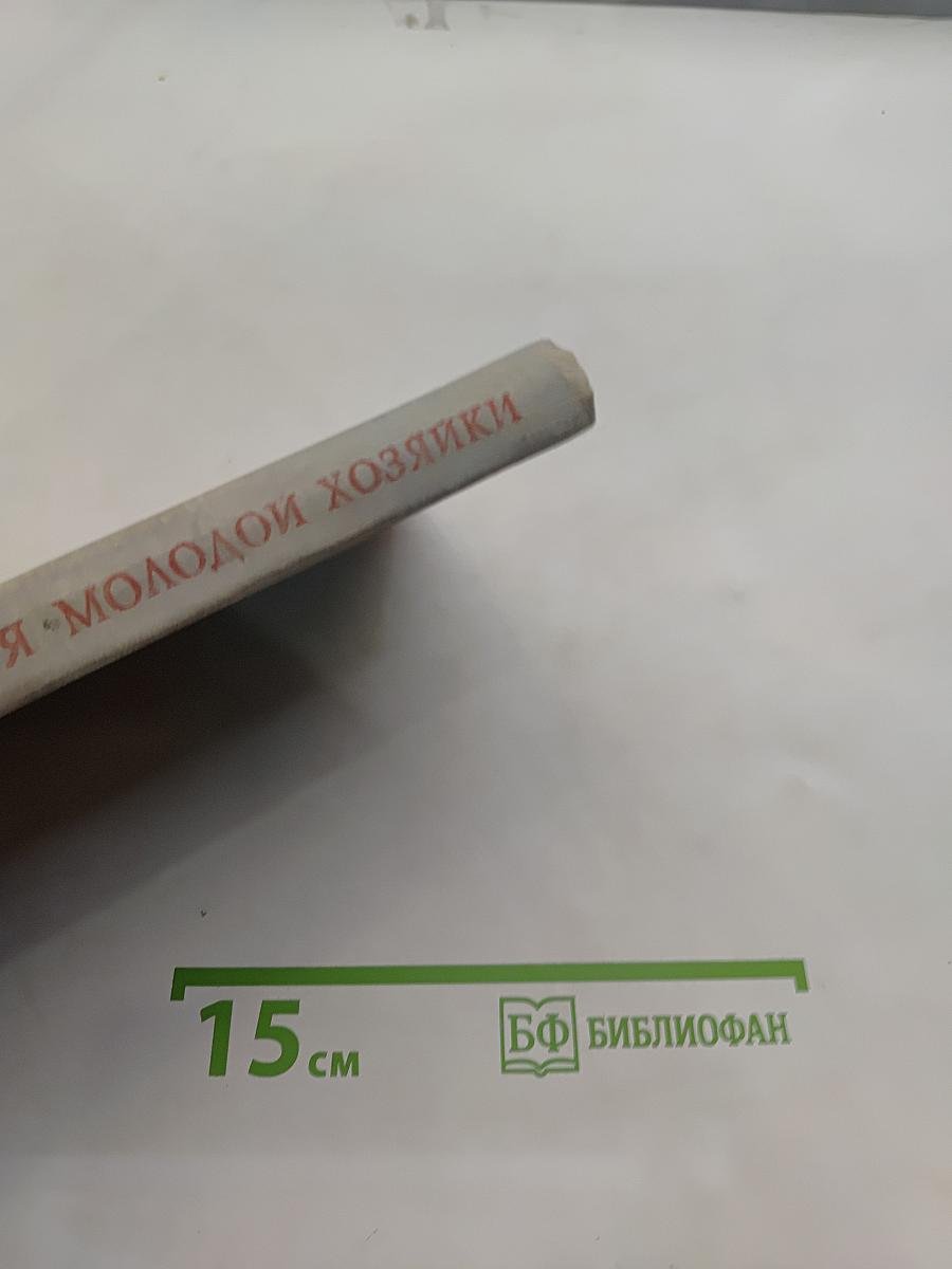 Кухня молодой хозяйки