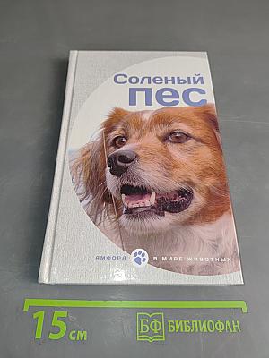 Соленый пес