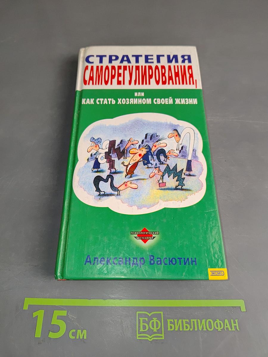 Стратегия саморегулирования, или Как стать хозяином своей жизни