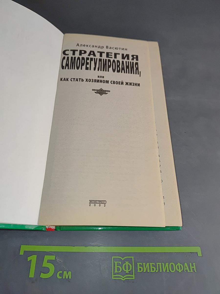 Стратегия саморегулирования, или Как стать хозяином своей жизни