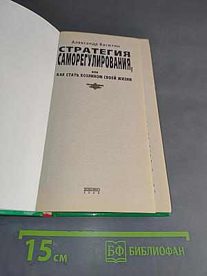Стратегия саморегулирования, или Как стать хозяином своей жизни