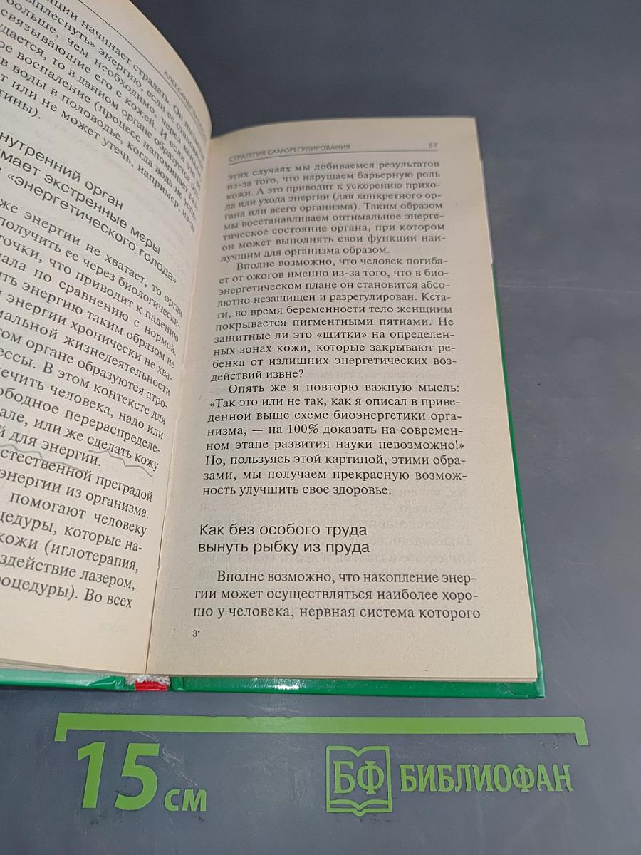 Стратегия саморегулирования, или Как стать хозяином своей жизни