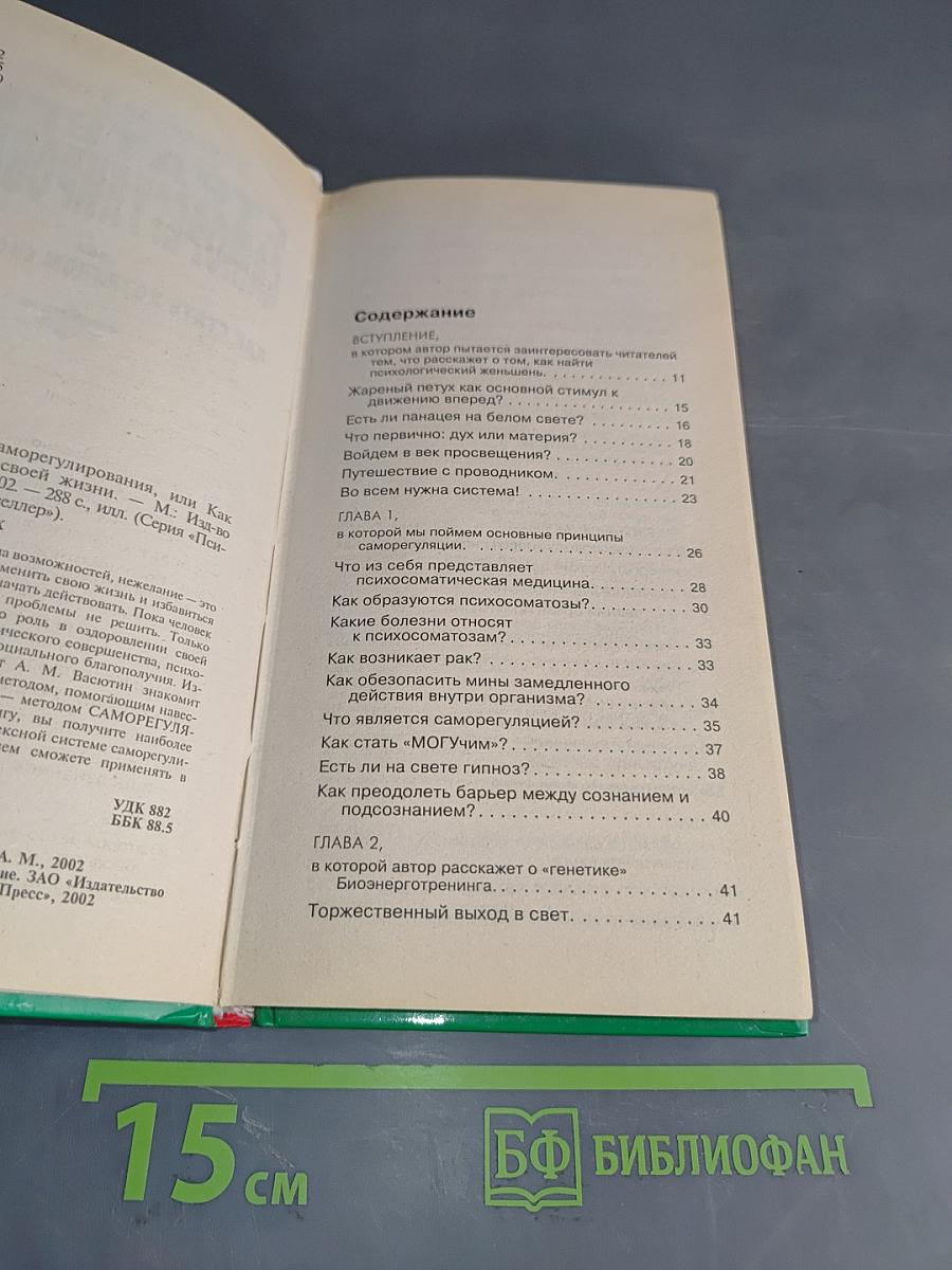 Стратегия саморегулирования, или Как стать хозяином своей жизни