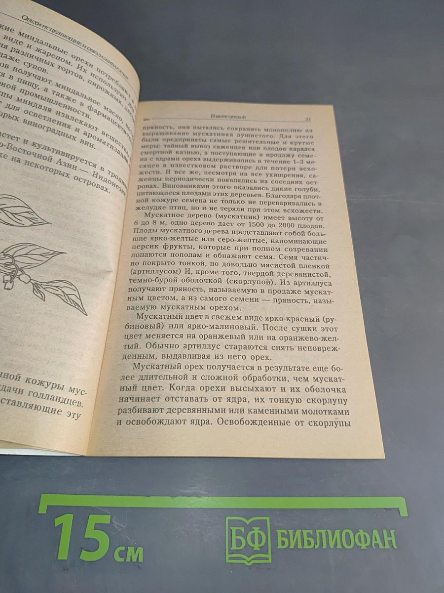 Орехи исцеляющие и омолаживающие