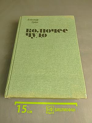 Колючее чудо