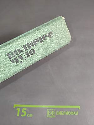 Колючее чудо