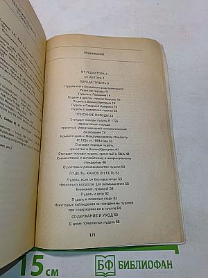Пудель