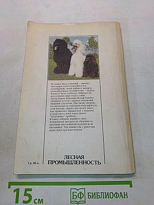 Пудель