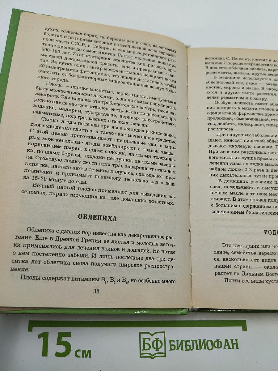 Всё О Дарах Леса