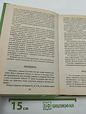 Всё О Дарах Леса