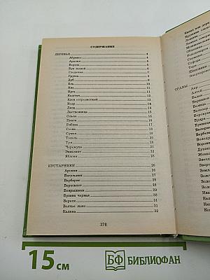 Всё О Дарах Леса