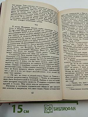 Лукреция Флориани. Снеговик